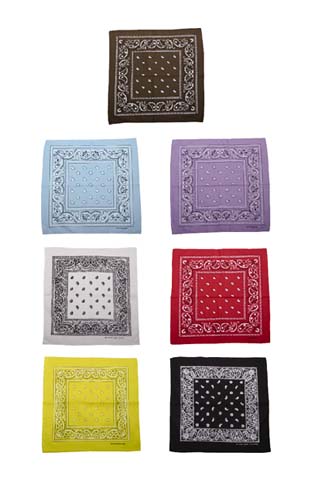 K102�FPAISLEY�o���_�i