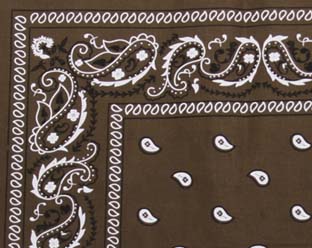 K102�FPAISLEY�o���_�i