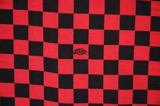 BL02-2401：BALANCE CHECKER SHIRTS