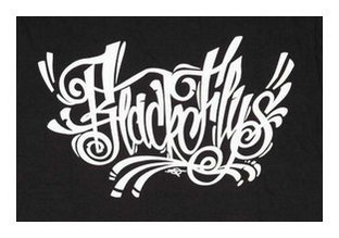 BF200-24H：BLACK FLYS 2012 SCRIPT V-NECK TEE