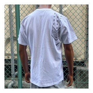 BL01-6700：BALANCE BANDANA SHOOTING TEE Ⅱ