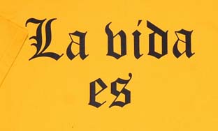 SS01-2008：SUERTE SACO LA VIDA ES
